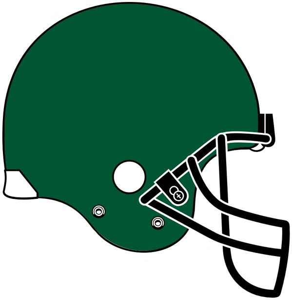 Tulane Green Wave 2005 Helmet Logo diy iron on heat transfer